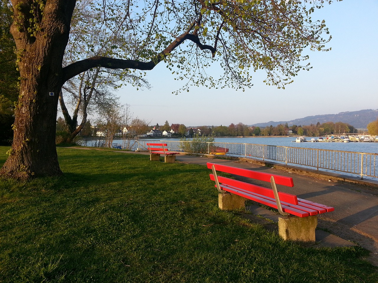 應市場變化 應市場變化