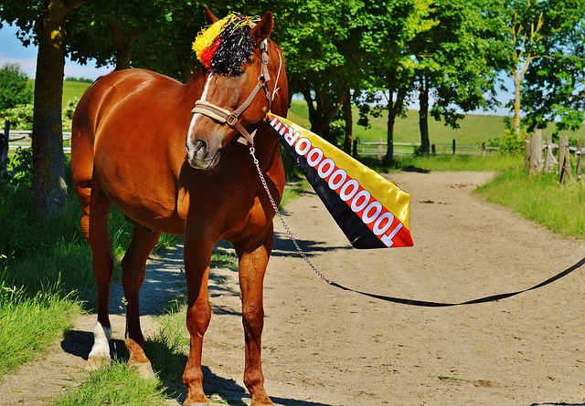 的心理素质 的心理素质