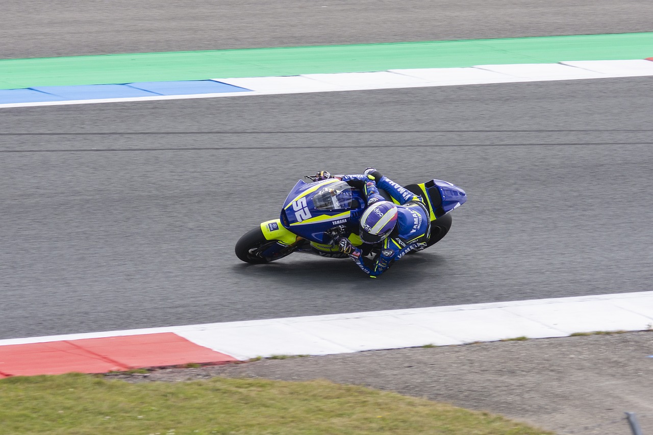 目中的佼佼 目中的佼佼