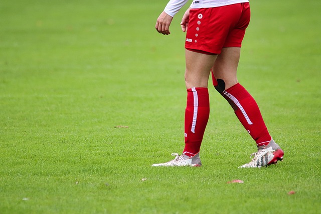 王楚钦在比 王楚钦在比