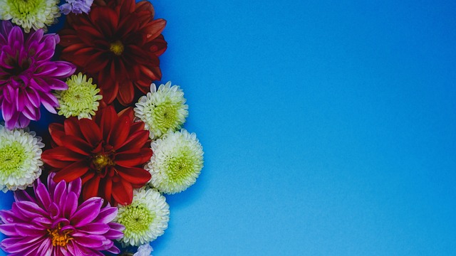 球员树立了 球员树立了