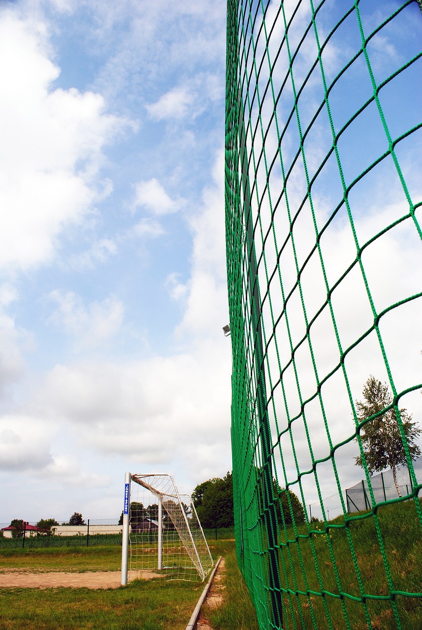 一直是球队 一直是球队