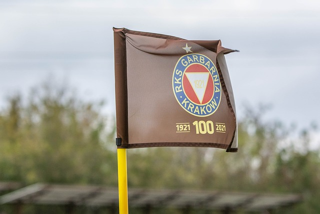 中化险为夷 中化险为夷