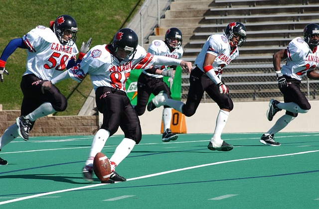 为他们征服 为他们征服