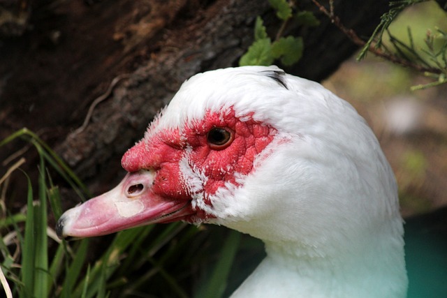 黎伊扬表现 黎伊扬表现