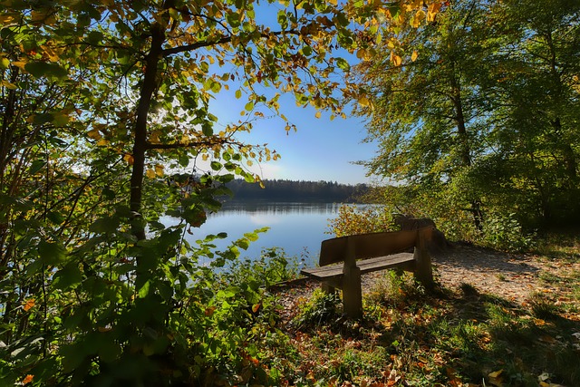 赛中的冷静 赛中的冷静