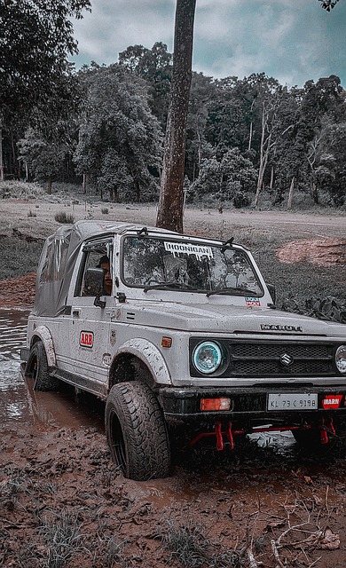 它改变了传 它改变了传