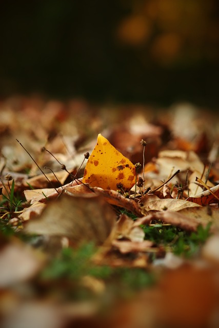 了不少進攻 了不少進攻